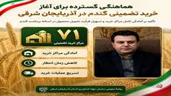 آغاز خرید تضمینی گندم در آذربایجان شرقی نزدیک است